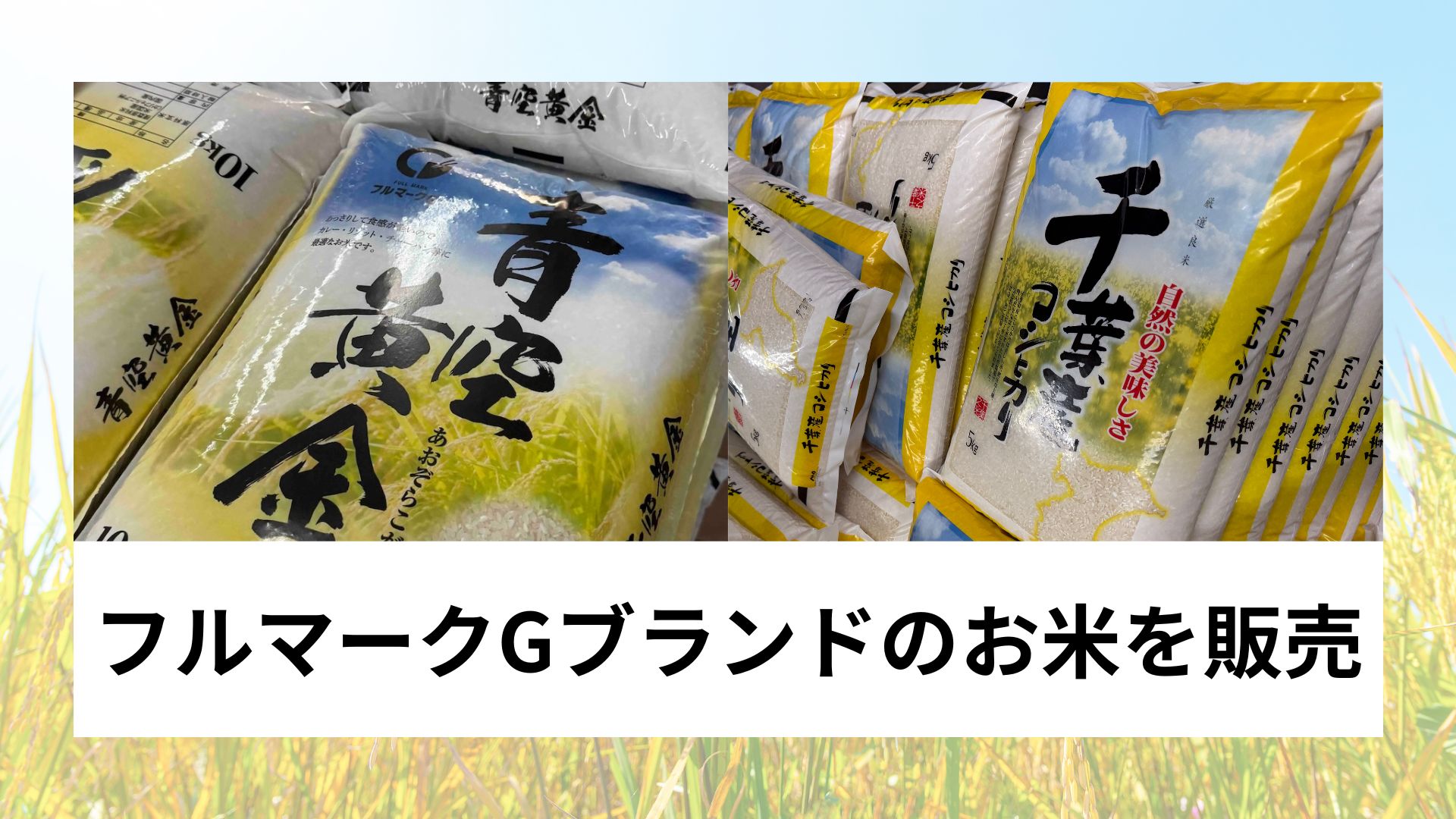 お米の注文はこちらから | 米屋のよっちゃん｜江戸川区西一之江